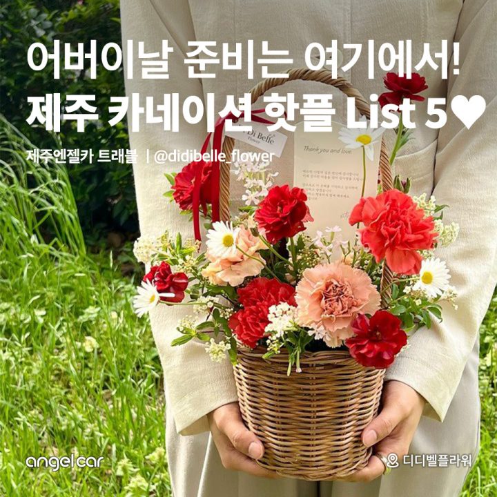 제주 카네이션 핫플 List 5♥