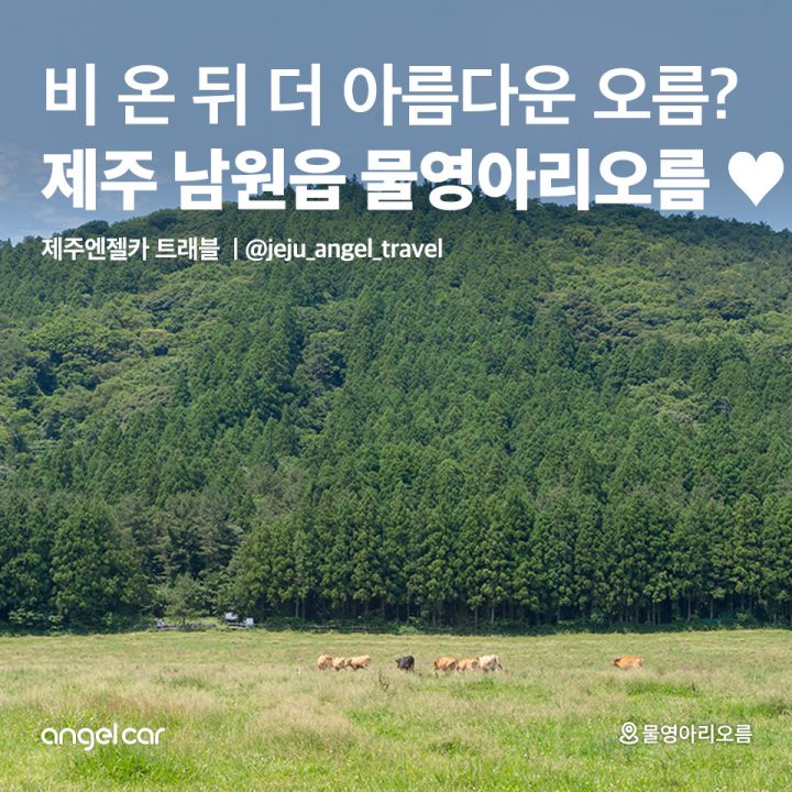 제주 남원읍 물영아리오름♥