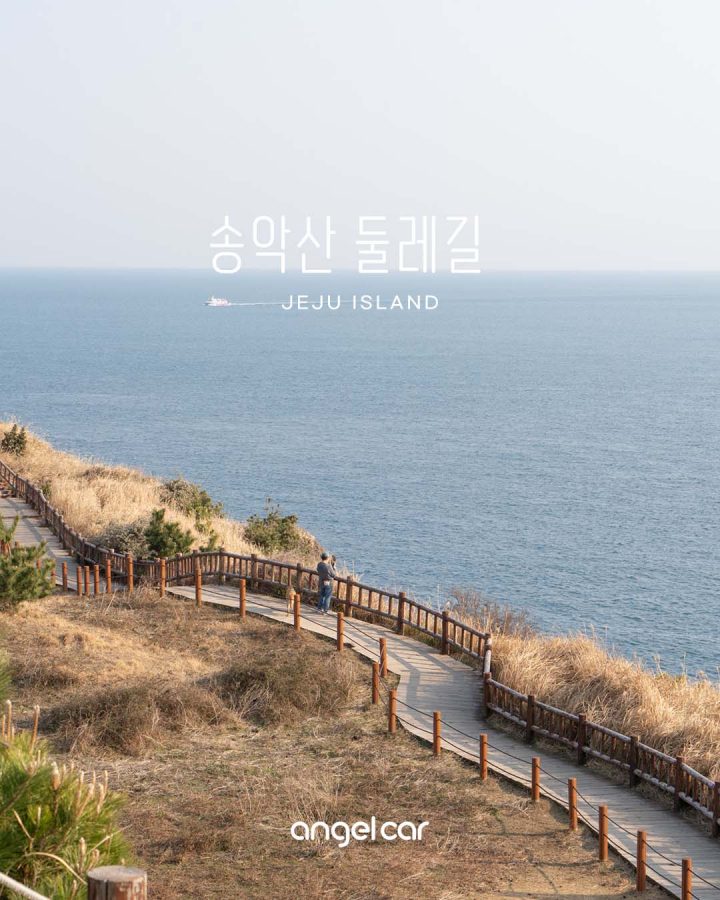 서귀포 올레길 :: 송악산 둘레길 (주차장 / 방문 tip / 코스소개)
