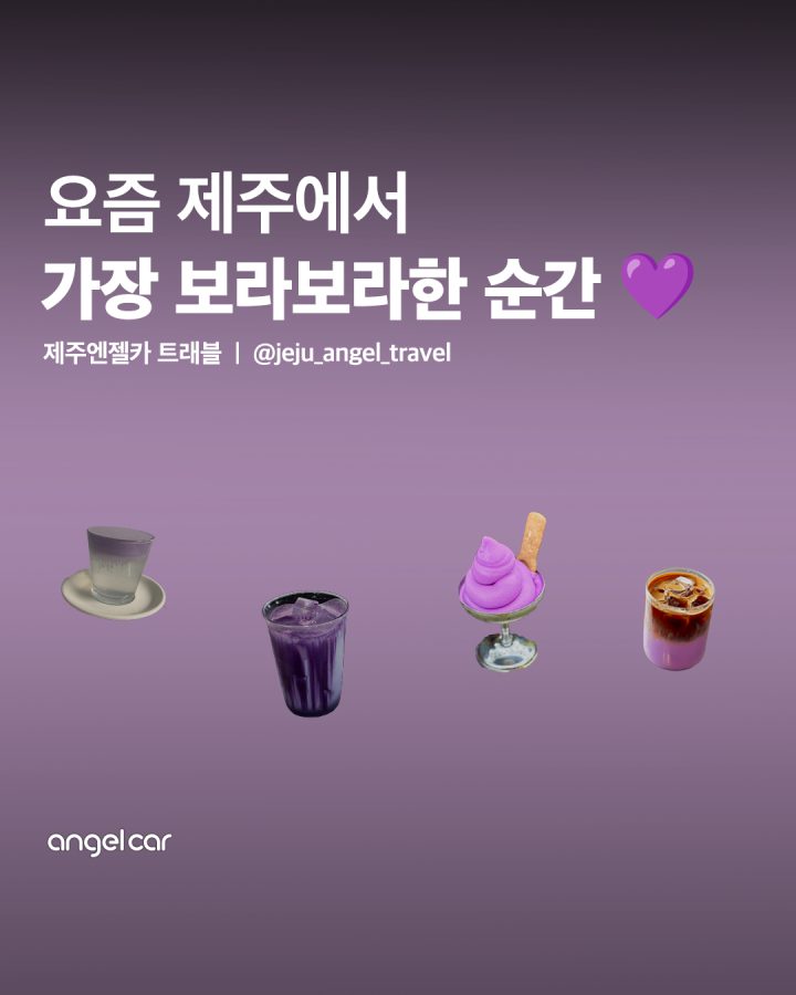 제주도 우베 카페 모음♥