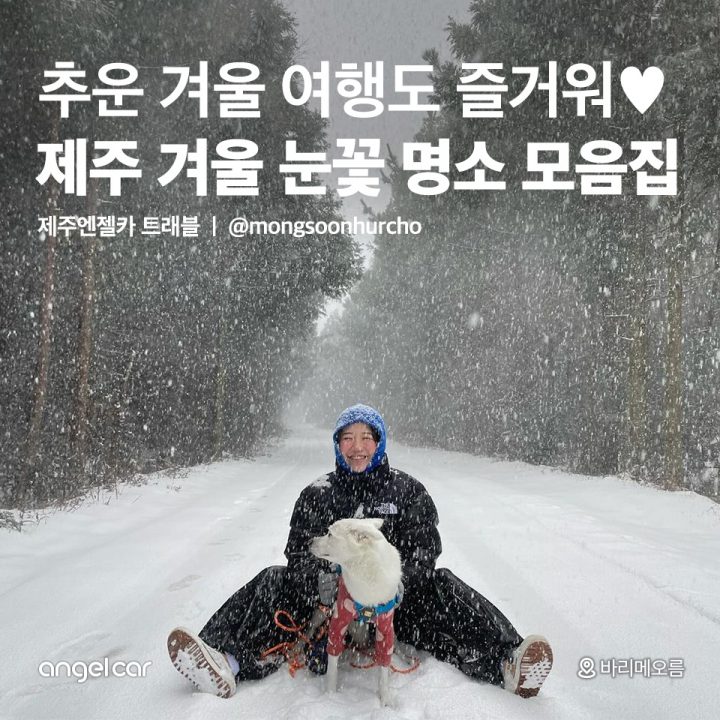 제주 겨울 눈꽃 명소 모음집
