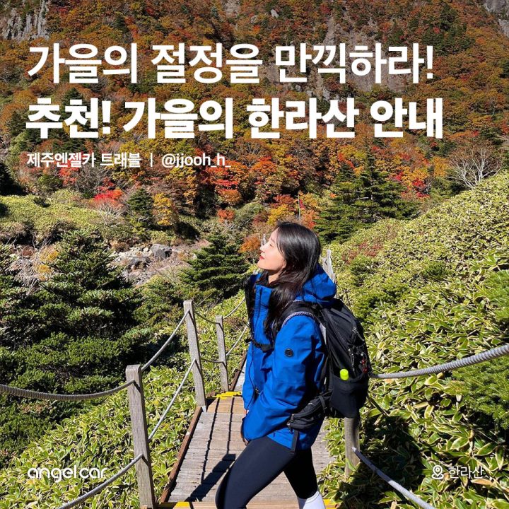 추천! 가을의 한라산 안내