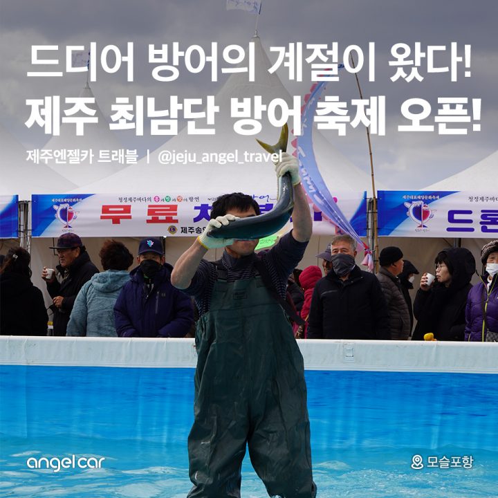 제주 최남단 방어 축제 오픈!