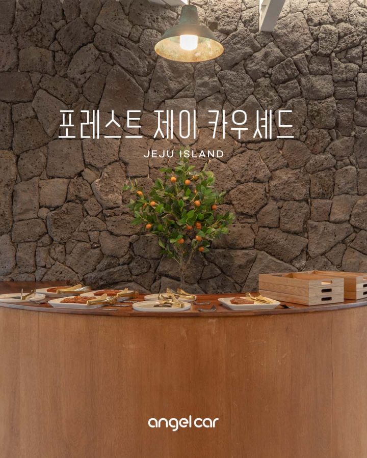 서귀포 안덕면 카페 :: 포레스트제이 카우셰드 (new 신상, 귤나무 뷰)