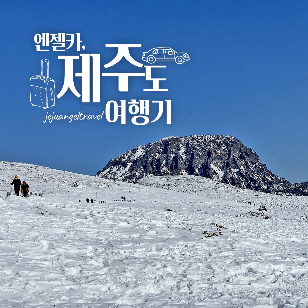 제주도렌트카 | 제주엔젤카 - 제주도 렌트카 실시간 예약할인, 완전자차 무료 제주도렌트카 | 제주엔젤카 - 제주도 렌트카 실시간 예약할인, 완전자차 무료